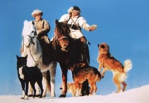 少数民族的神犬:下司犬和鄂伦春犬，都比大熊猫还珍贵