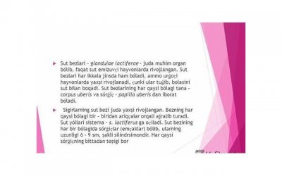 ​棒棒糖蛋糕怎么做?棒棒糖蛋糕的做法