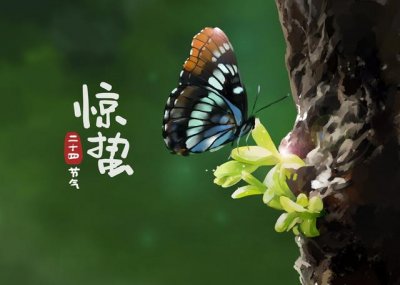 ​惊蛰节气经典诗词（惊醒最美的春天）