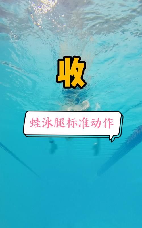 蛙泳腿部动作技术要领