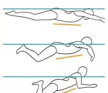 ​蛙泳动作要领，蛙泳技术动作要领？