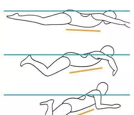 蛙泳技术动作要领