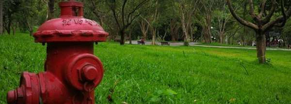 消防栓箱内有哪些配件,室内消火栓箱内一般应配置有哪些图4