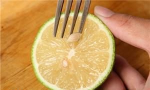 把切好的柠檬片放在杯子里然后再放在冰箱里保存行吗