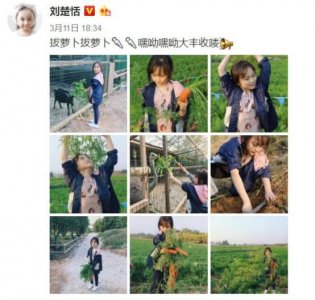 ​刘楚恬一家三口的照片(小芈月刘楚恬又变样了)