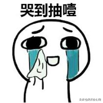 有什么能翻译文档的软件（翻译文本软件大合集）(2)