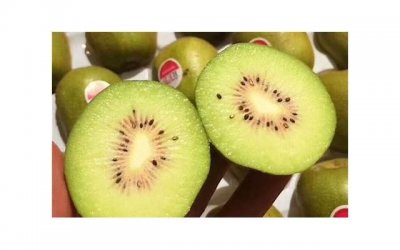 ​上学时手淫现在硬不起来怎么办