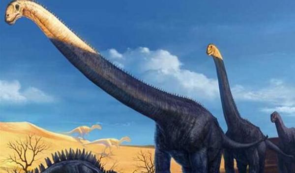 马门溪龙和腕龙的区别，马门溪龙和腕龙谁的脖子长？图2