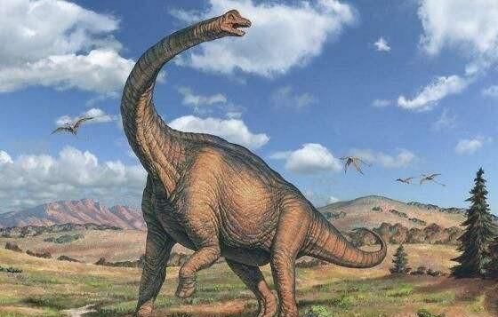 马门溪龙和腕龙的区别，马门溪龙和腕龙谁的脖子长？图8