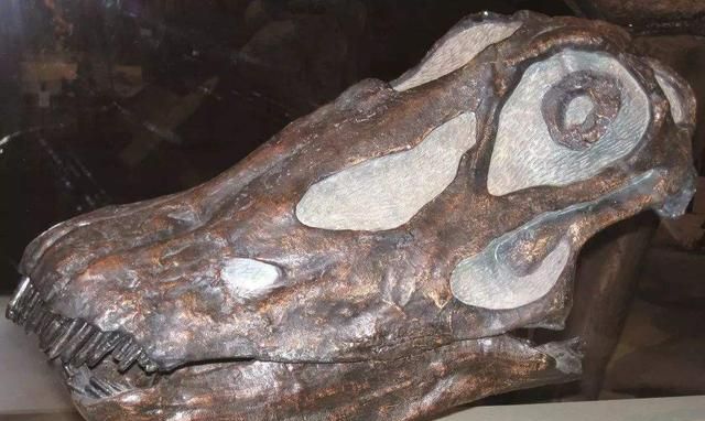 马门溪龙和腕龙的区别，马门溪龙和腕龙谁的脖子长？图6