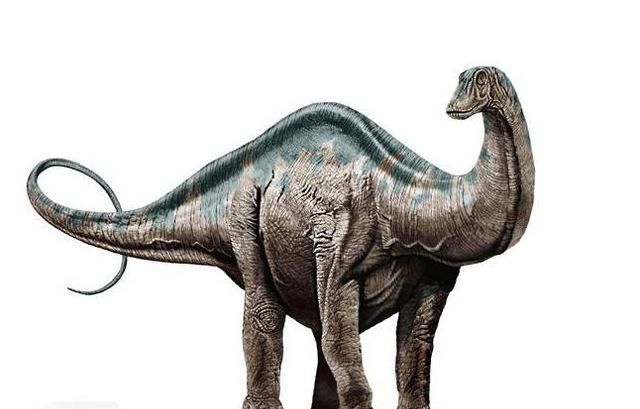 马门溪龙和腕龙的区别，马门溪龙和腕龙谁的脖子长？图7