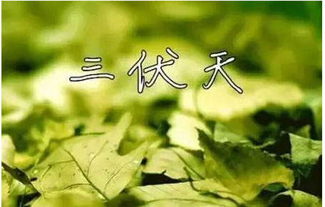 一伏多少天一共有几伏,今年从什么时候开始数伏图1