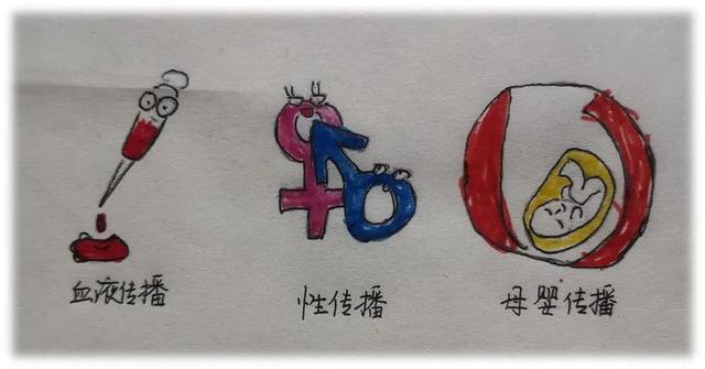 艾滋病基本知识普及（艾滋病健康科普知识）(2)