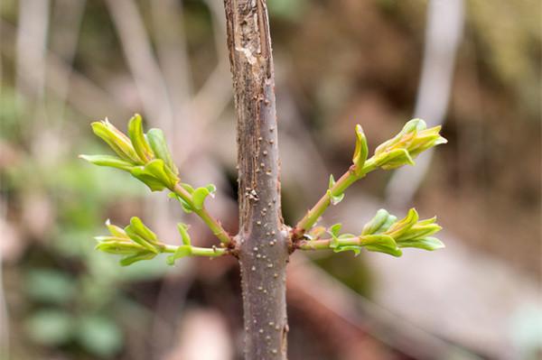 全国各地有名的风水宝地（是绝对的风水宝地）(2)