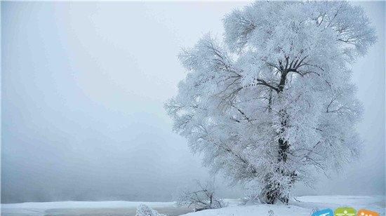 为什么说冬天的风是朔风