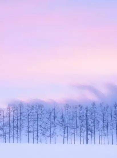 秋天的风它不曾见过桃花 春天的雨却温柔那片黄沙