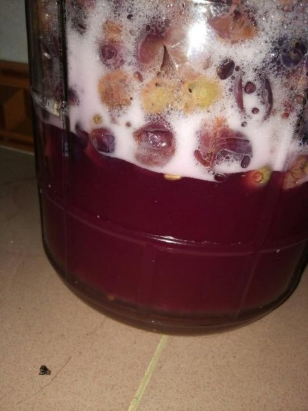 做葡萄酒里面加白酒吗