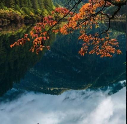 励志文章短文(短篇励志文章)-第2张图片-