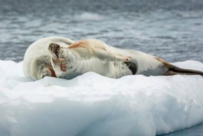 ​适合小孩的旅游景点有哪些