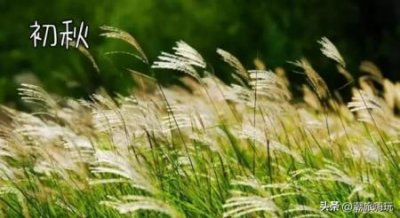 ​土楼旅游攻略探寻福建土楼的未解之谜，带你领略独特的土楼风情