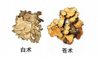 ​祛湿化痰神方——二陈汤；这样用，横扫全身痰湿，还补正气