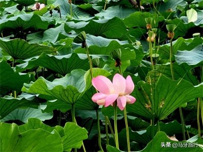 ​集安市一日游电影《缝纫机乐队》那把大吉他原来真的存在就在这里