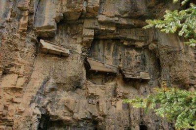 ​辽宁龙骨事件真相 辽宁龙骨事件真相