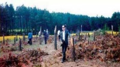 ​活到现在的远古鱼类盘点地球上十大古老鱼附图