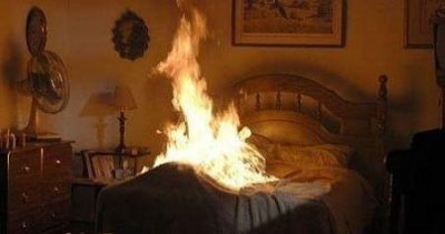 ​世界上最高最大最宽最老的树