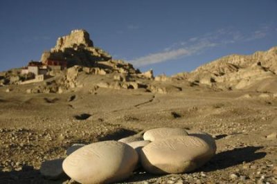 ​600万年前的阿根廷巨鹰，翼展长达7米以上，几乎没有任何的天敌