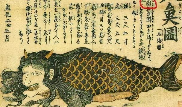 1968年科学家深海拍到人鱼照片，传说中的美人鱼或许真实存在