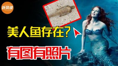 ​科学家有没有拍到真实美人鱼照片
