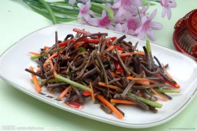 ​东北的山野菜长大是个什么菜（有一种长在森林里的菜）