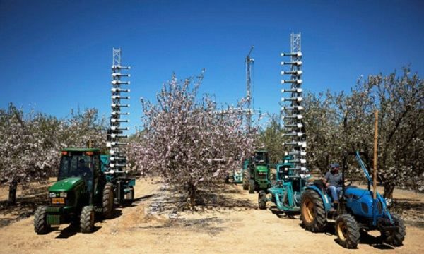 种子传播的方法,二年级植物传播种子的方法有哪些二年级语文图7
