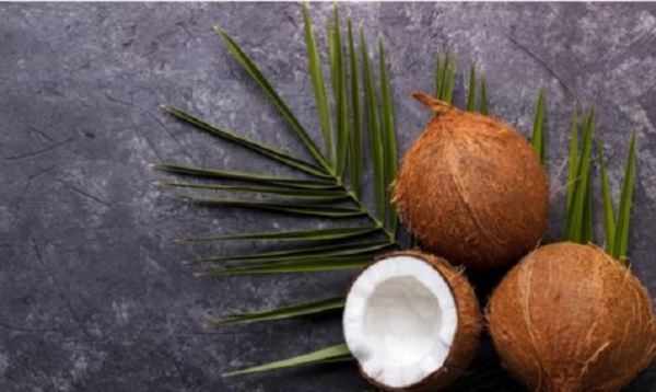 种子传播的方法,二年级植物传播种子的方法有哪些二年级语文图8