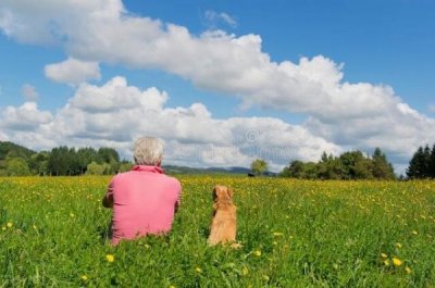 ​茅小五酒一瓶多少钱(茅台镇茅小五)