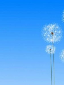 ​抬举是什么意思(抬举我是什么意思?)