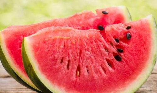 减肥能不能吃西瓜