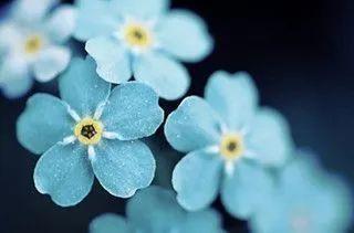 末代皇后：我被无性婚姻坑惨了！