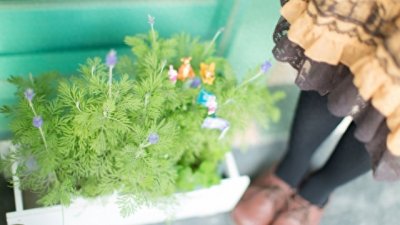 ​中国古代丐帮历代帮主名字大全