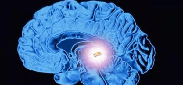 下雨天睡得更香,下雨天睡觉天人眠天不眠什么意思图5