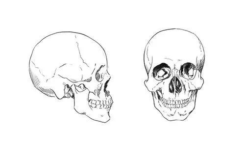 金莎公开整容（美人计金莎变美不靠整容靠正骨）(10)
