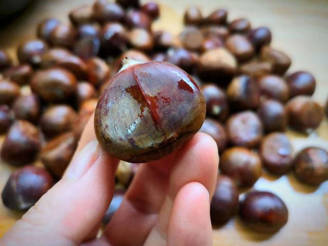 霜降节气吃什么食物比较好（要吃5种传统食物）(8)