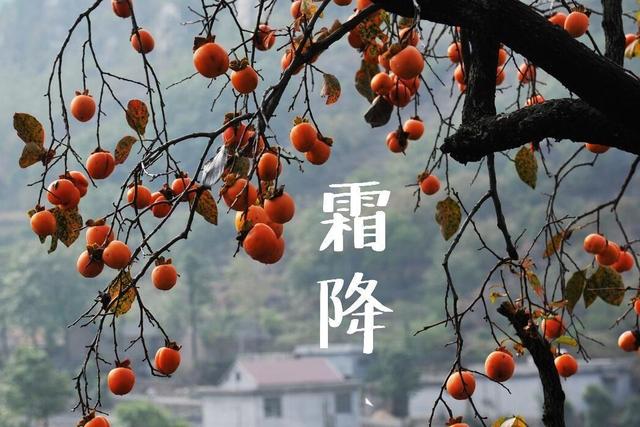 霜降节气吃什么食物比较好（要吃5种传统食物）(1)