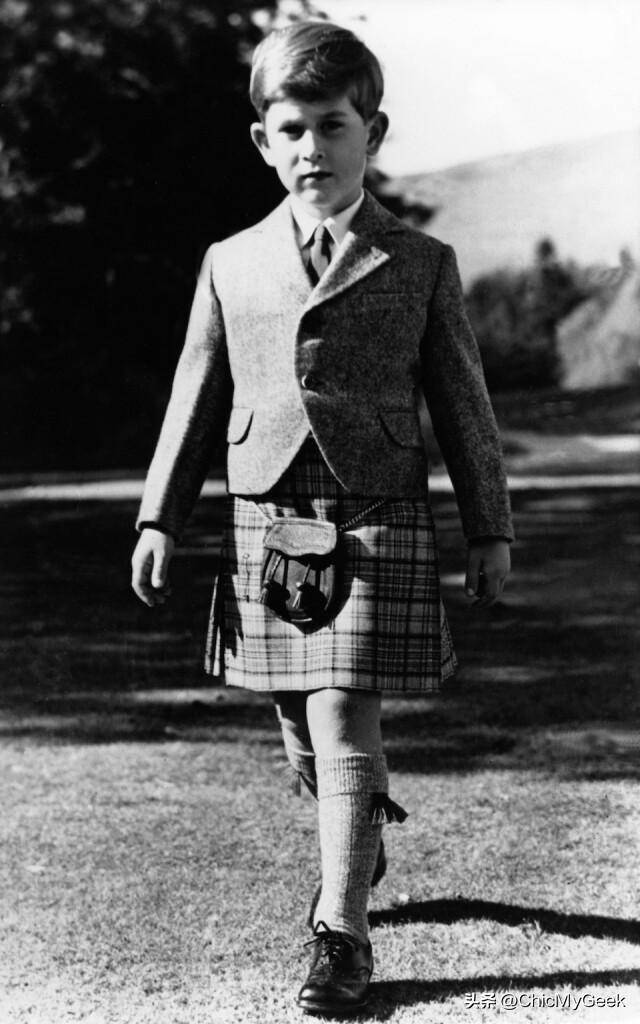 查尔斯终于当上的国王（查尔斯登基新英国国王）(6)