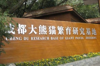 ​成都锦江区有哪些景点好玩