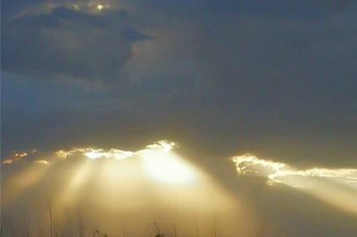 ​不看家中宝只看门前草是什么意思?真的有道理吗?