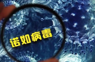 ​Xbb病毒感染的症状有哪些？冠状病毒感染的症状有哪些