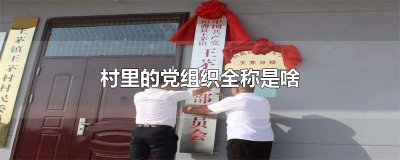 ​村里的党组织全称是啥