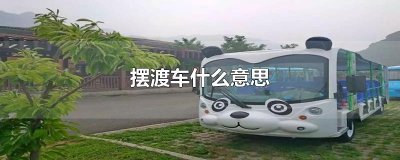 ​摆渡车什么意思